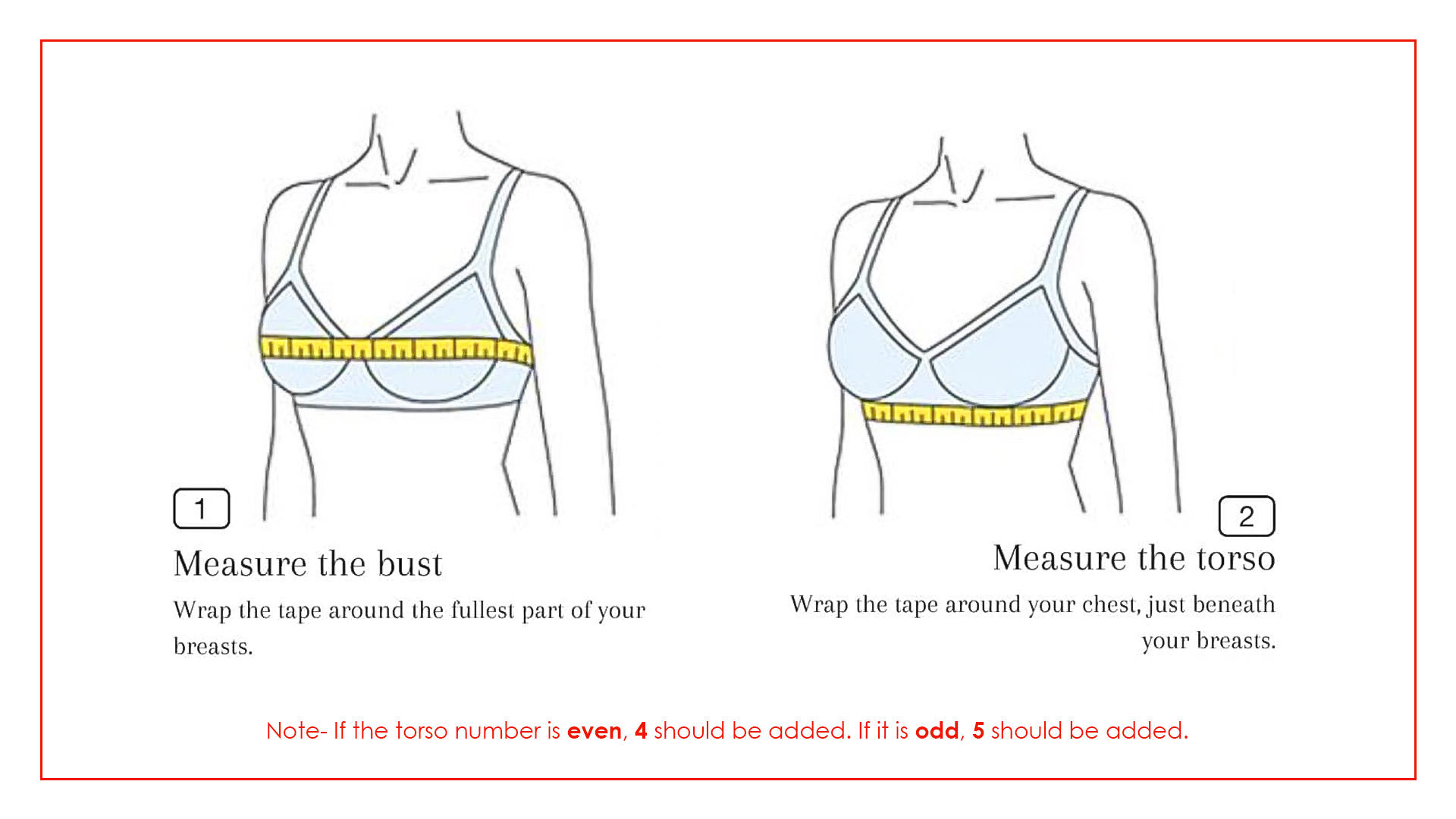 Bra Size Change Illustration