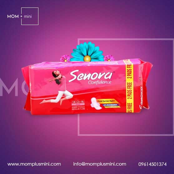 Buy Senora Belt Sanitary Napkin 10 Pads