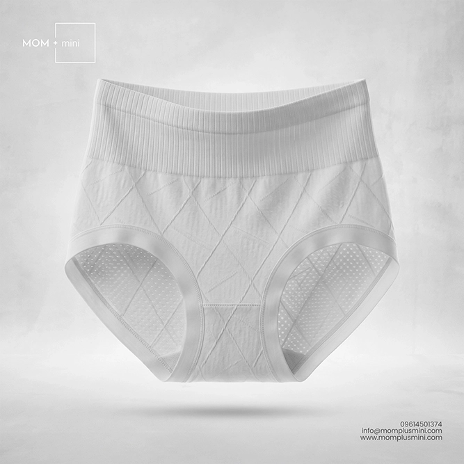 SoftCurve High Waist Panty | Ash Gray